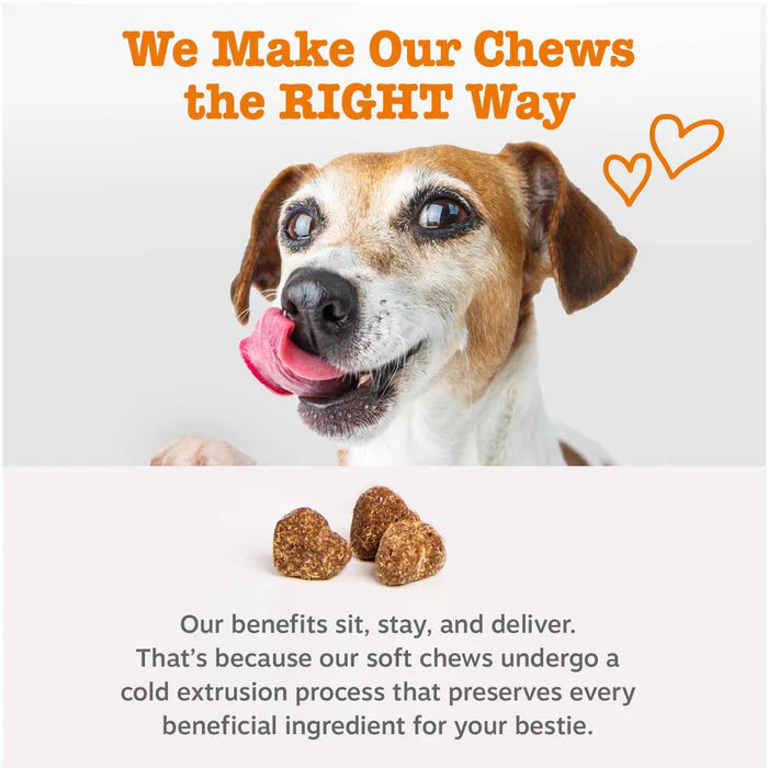 PanceShield Chews™
