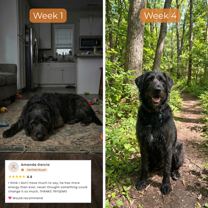 PanceShield Chews™