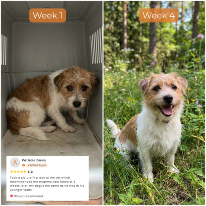 PanceShield Chews™