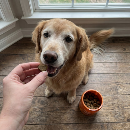 PanceShield Chews™