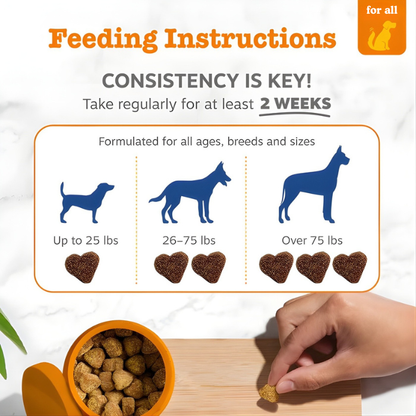 PanceShield Chews™