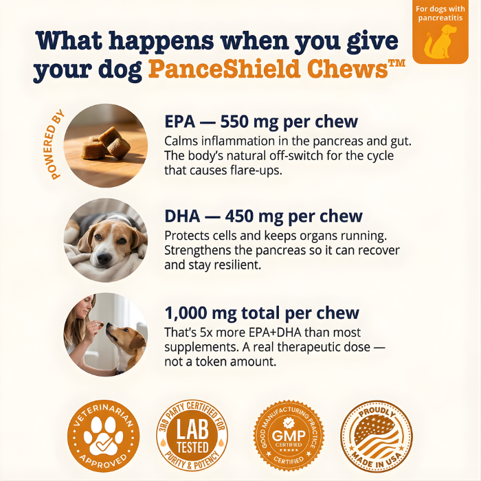 PanceShield Chews™